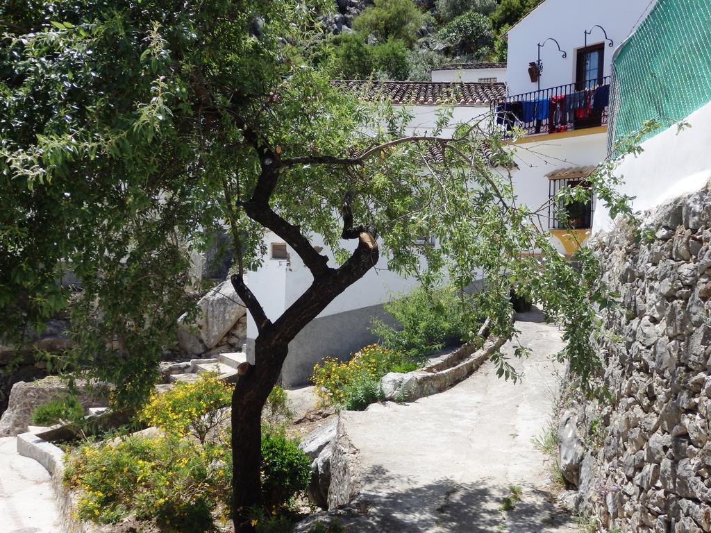 Posada Del Fresno Montejaque Eksteriør billede